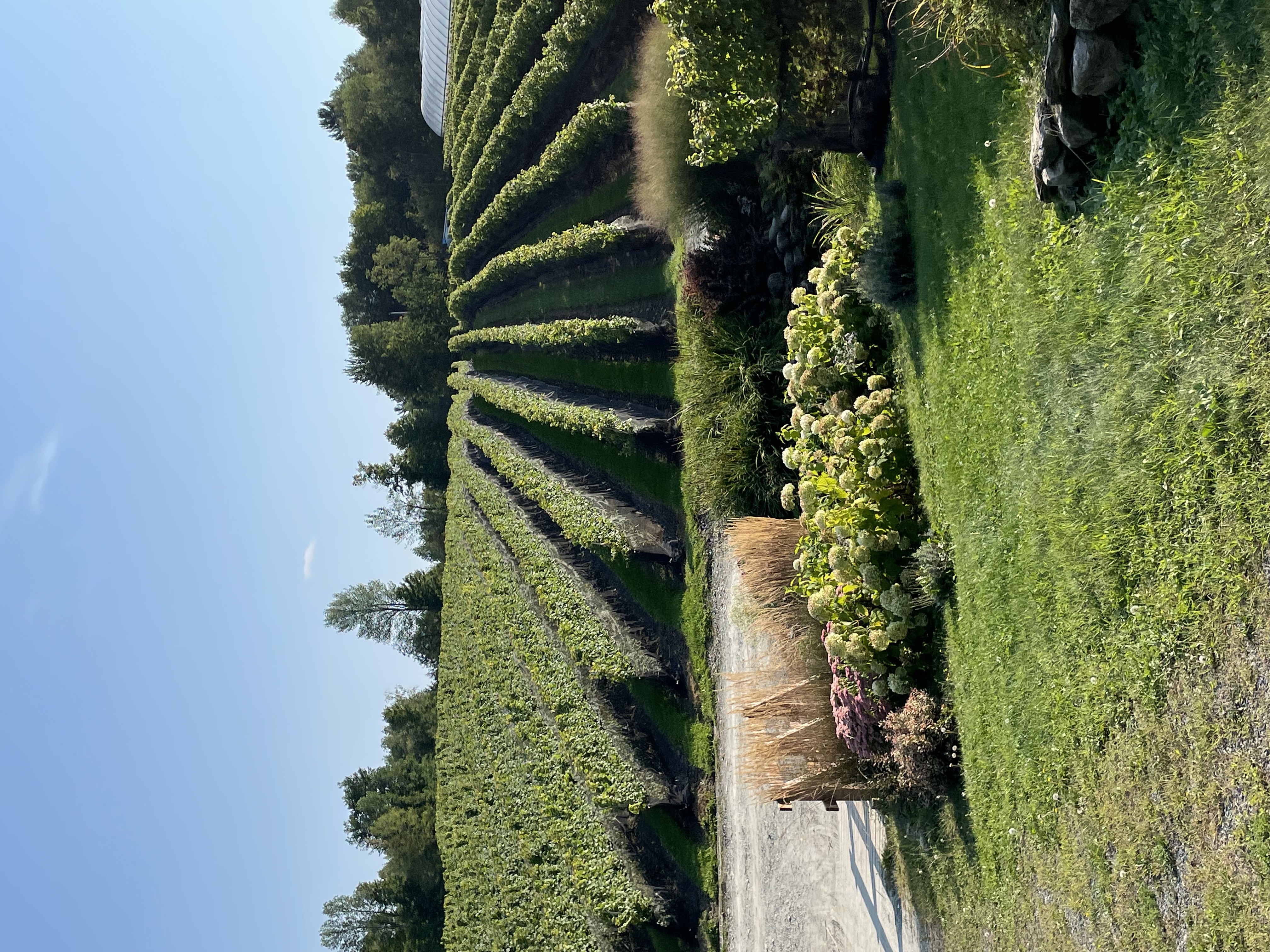 Le Vignoble du Ruisseau