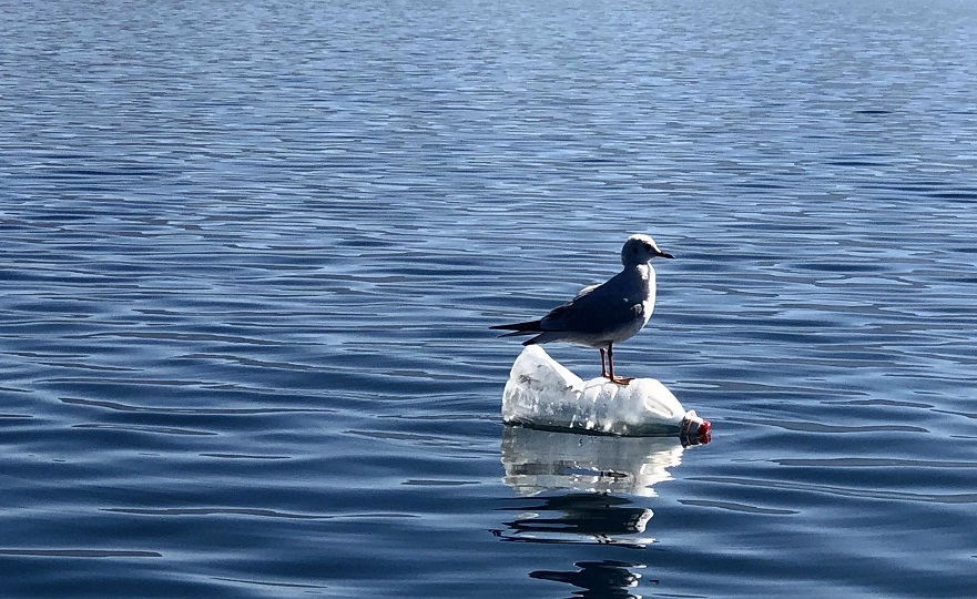 Lugu Lake